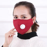 Reusable N95 Cotton Mask with 2 filters.
